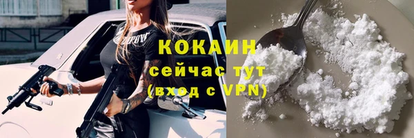 амф Дмитриев