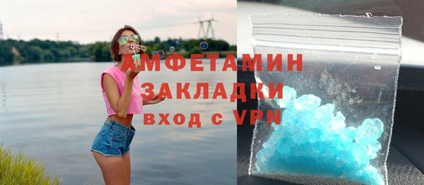 амф Дмитриев