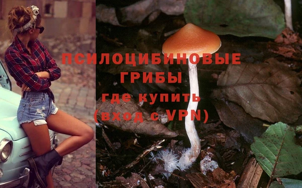 марки lsd Гусев