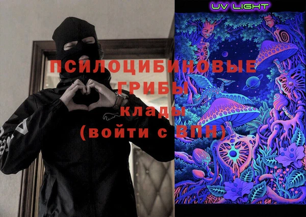 сатива Гусиноозёрск