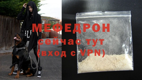 амф Дмитриев