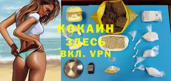 сатива Гусиноозёрск