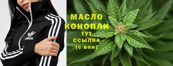 сатива Гусиноозёрск