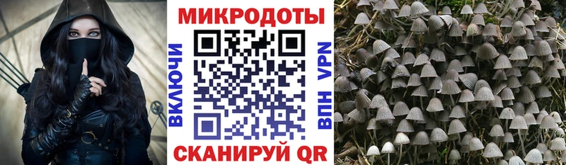 kraken зеркало Ульяновск Галлюциногенные грибы мицелий цена
